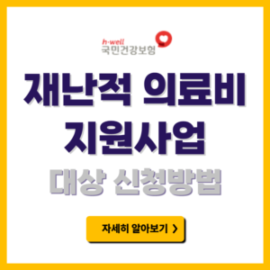 재난적 의료비 지원사업