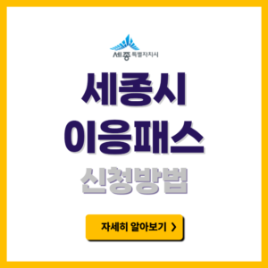 세종시 이응패스