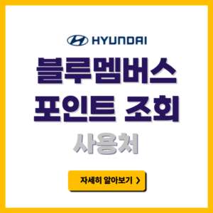 현대 블루멤버스 포인트