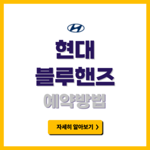 현대 블루핸즈 예약